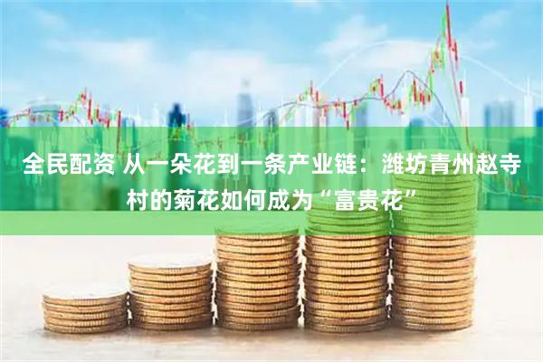 全民配资 从一朵花到一条产业链：潍坊青州赵寺村的菊花如何成为“富贵花”