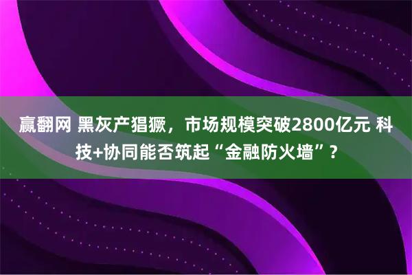 赢翻网 黑灰产猖獗，市场规模突破2800亿元 科技+协同能否筑起“金融防火墙”？