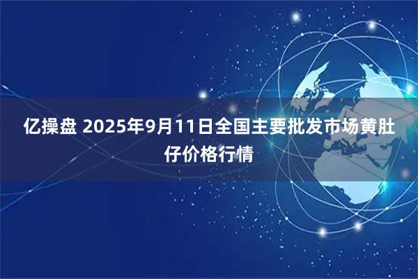 亿操盘 2025年9月11日全国主要批发市场黄肚仔价格行情