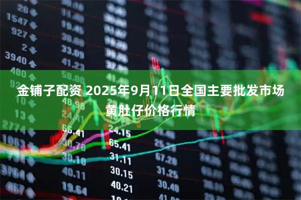 金铺子配资 2025年9月11日全国主要批发市场黄肚仔价格行情