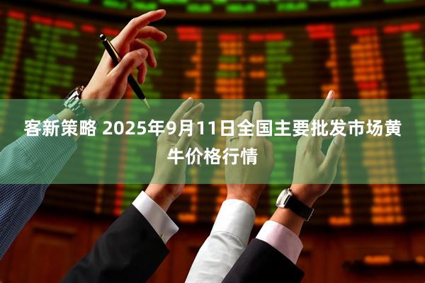 客新策略 2025年9月11日全国主要批发市场黄牛价格行情