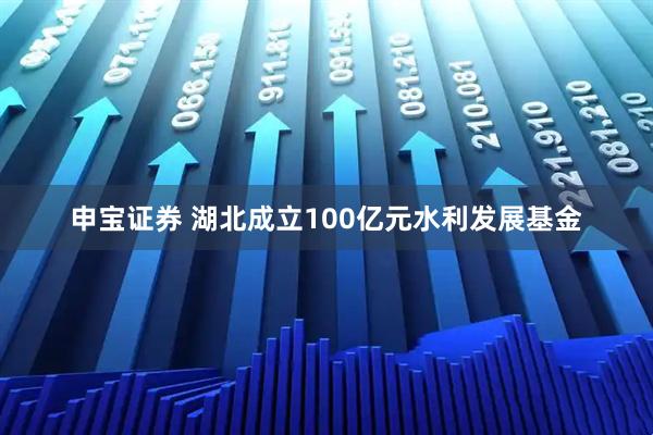 申宝证券 湖北成立100亿元水利发展基金
