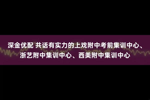 深金优配 共话有实力的上戏附中考前集训中心、浙艺附中集训中心、西美附中集训中心