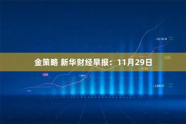 金策略 新华财经早报：11月29日
