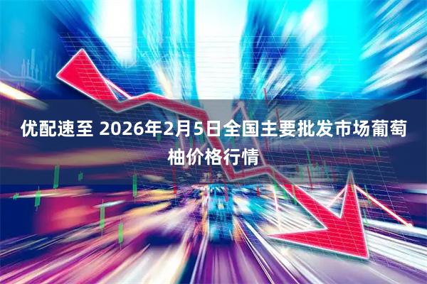 优配速至 2026年2月5日全国主要批发市场葡萄柚价格行情