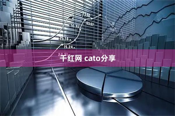 千红网 cato分享